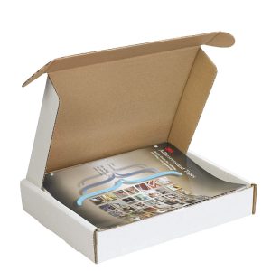 Hộp carton nắp gài 3 lớp Trắng Nâu ảnh 1