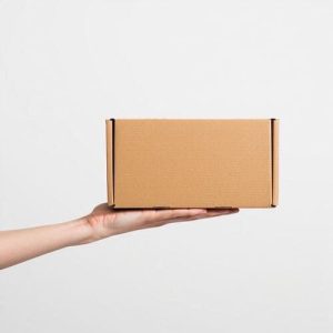 Hộp carton nắp gài 3 lớp size 10 ảnh 2