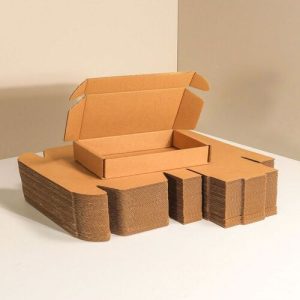 Hộp carton nắp gài 3 lớp size 15