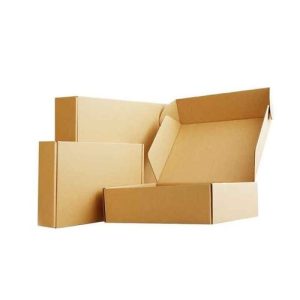 Hộp carton nắp gài 3 lớp size 22 ảnh 2