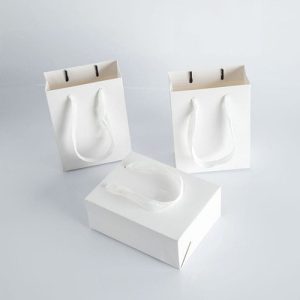 Túi giấy Ivory trắng C02