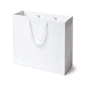 Túi giấy Ivory trắng C02 ảnh 1