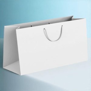 Túi giấy Ivory trắng C02 ảnh 3