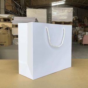 Túi giấy Ivory trắng C03