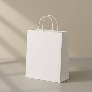 Túi giấy Ivory trắng C05 ảnh 1