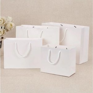 Túi giấy Ivory trắng C05 ảnh 3