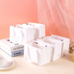 Túi giấy Ivory trắng C06 ảnh 1