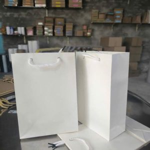 Túi giấy Ivory trắng C06 ảnh 2