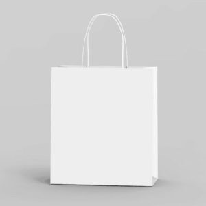 Túi giấy Ivory trắng C07 ảnh 2