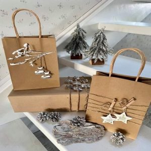 Túi giấy kraft nâu H2