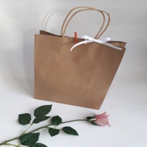 Túi giấy kraft nâu H2 ảnh 3