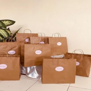 Túi giấy kraft nâu HV5 ảnh 2