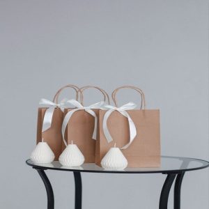 Túi giấy kraft nâu M09 ảnh 1