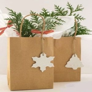 Túi giấy kraft nâu N34B