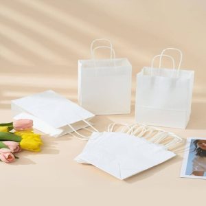 Túi giấy kraft trắng B02 ảnh 2