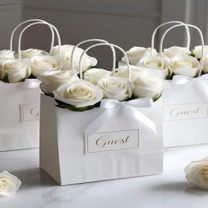 Túi giấy kraft trắng M01 ảnh 2