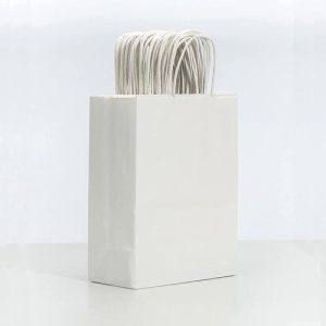 Túi giấy kraft trắng M06 ảnh 1