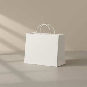 Túi giấy kraft trắng M16C ảnh 1