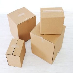 Thùng carton nắp đối 3 lớp size 15 ảnh 1