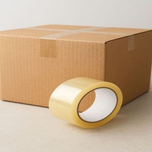 Thùng carton nắp đối 3 lớp size 20 1