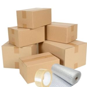 Thùng carton nắp đối 3 lớp size 20 3