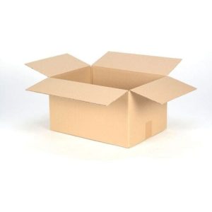 Thùng carton nắp đối 3 lớp size 22 2